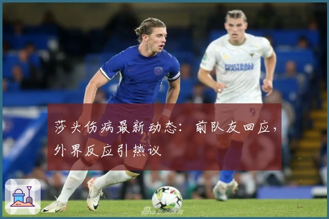 莎头伤病最新动态：前队友回应，外界反应引热议